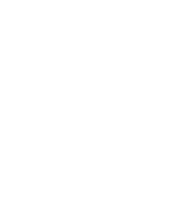 Skull Bombie icon
